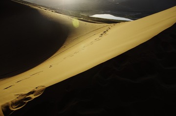 _IGP7953