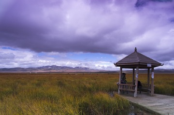 _IGP6460