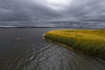 _IGP6443