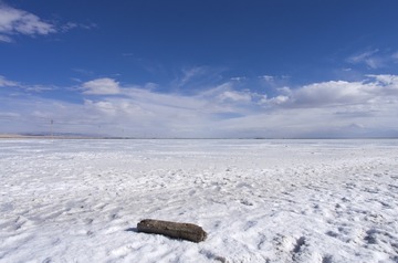 _IGP8973
