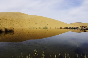 _IGP8114