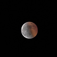69206273-38D0-4F55-9E74-C693966722D0/L0/001