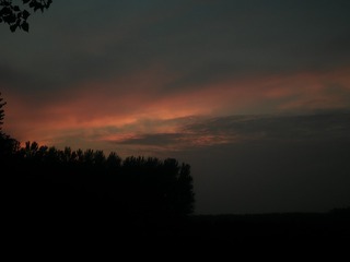 7DD60728-B581-4C29-BBB3-253D3AF37961/L0/001