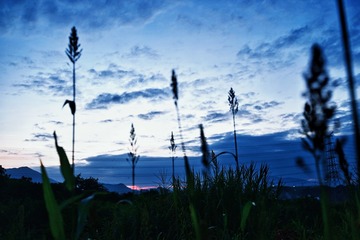 D56A10B7-4791-4CCF-A64C-EA01EFA92B00/L0/001