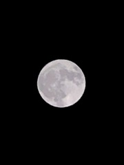 2CAA0629-A092-4C20-B5E3-00F017C33757/L0/001