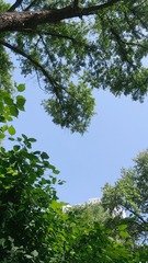 853D7B42-D456-43DE-AA38-03A89D105826/L0/001