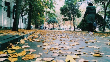 74F03954-6E57-4EEE-AC28-F545FDFDCD59/L0/001