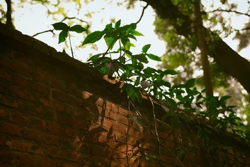 IMG_0059.jpg