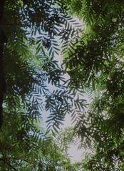 C784FCE1-979E-4DD6-9686-A5BE08F03045/L0/001