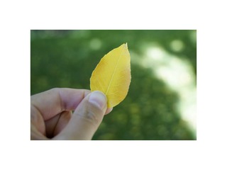 31A7C0D8-5843-4F2F-B08C-23240CCEF806/L0/001