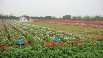 DSC04600.JPG