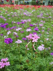 DSC04623.JPG