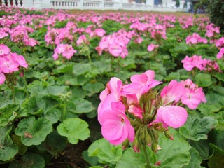DSC04624.JPG