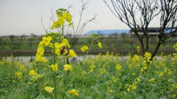 DSC04690.JPG
