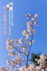 107634B6-2A42-4189-8A4F-43A2A2BFABAE/L0/001