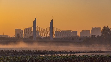 133009