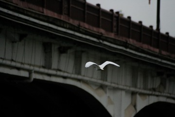 0F171495-D998-4D25-A6D7-C9CD09C2AAC4/L0/001