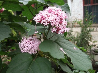 FA2495BD-F062-40ED-B2CD-96A10C26D974/L0/001