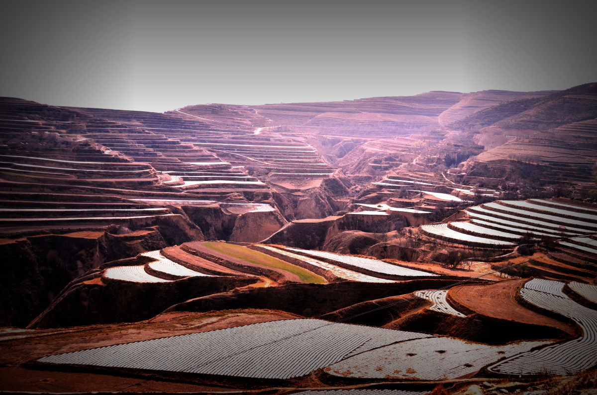 山野向晚 br /> 黄土高原,黄土一样夯实的阳光.