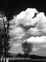 DSCF2398.jpg