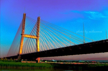 S6302082.jpg
