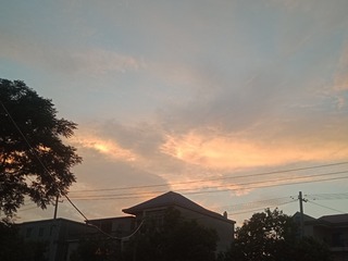 1421466
