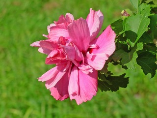 1325058F-DD84-4EF6-8EFE-77C065FAD07A/L0/001