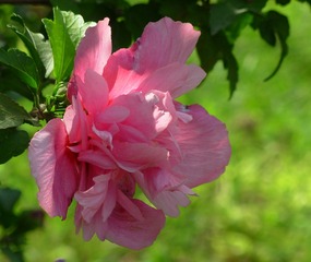 61C1C742-A0CF-4683-B9BB-30A253578289/L0/001