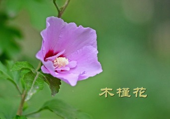 6A0CBEB8-EC2F-4A9B-8E5A-C3FF074DD01B/L0/001