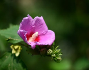 8C503D2F-06C7-42BA-8EFE-9E46947548B4/L0/001