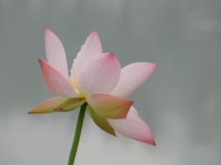 080174F0-E649-47FF-B32A-00C5D0C84EB0/L0/001