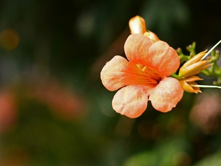 7B14C0E0-1D69-491F-827A-17F1CEE55212/L0/001