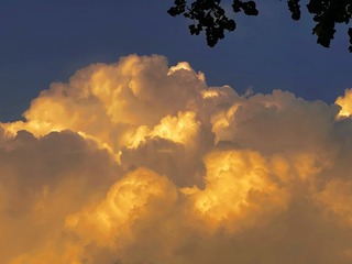 0D2EB29F-068E-4C6B-B65D-ED9386247AB7/L0/001