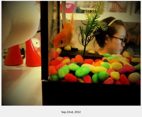 C360_2012-09-22-16-30-24_副本.jpg