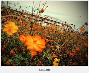C360_2012-10-03-11-04-51_副本.jpg