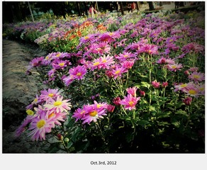 C360_2012-10-03-16-45-25_副本.jpg