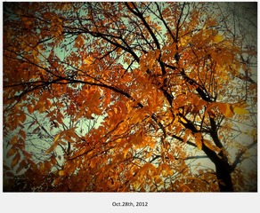 C360_2012-10-28-16-01-07_副本.jpg