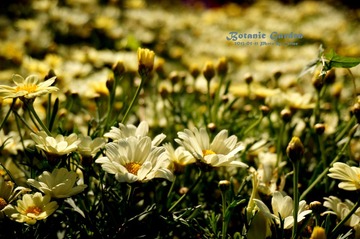 DSC03370_副本1.jpg