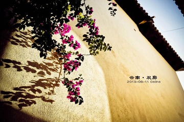 DSC03902_副本_副本-2 - 副本.jpg
