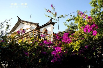 DSC03905_副本 - 副本.jpg