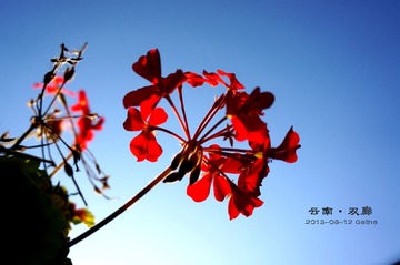 DSC04166_副本_副本.jpg