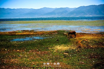 DSC04408_副本-2_副本.jpg