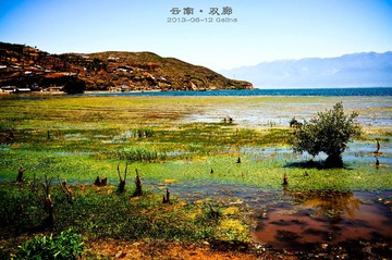 DSC04411_副本-2_副本.jpg