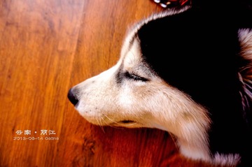 DSC04878_副本-2.jpg