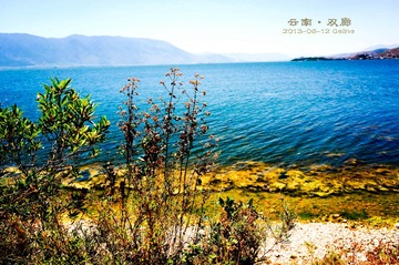 DSC04443_副本-2_副本.jpg