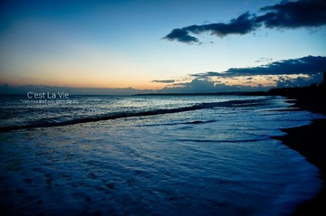 DSC07991_
