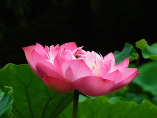 RIMG0068.JPG