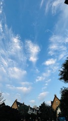 52E1EDAB-A553-42CD-BDF8-1B68BE0874D0/L0/001