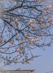 78E441B8-322D-4CEA-A51F-7967B0F5D7DE/L0/001
