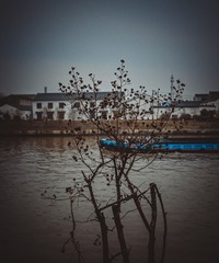 9F9D6FDC-2390-46ED-95E4-DA22398BC7B9/L0/001